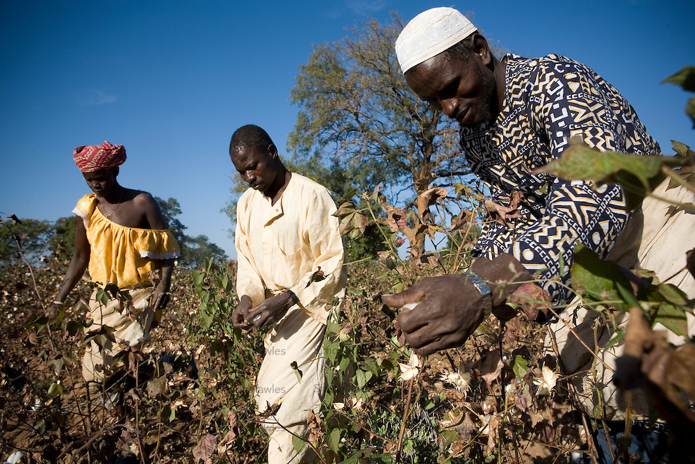 Moussa Keita, fairtrade cotton farmer, Dogourakoroba, Mali